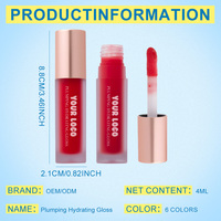 Nouveau gloss à lèvres hydratant et repulpant 6 couleurs, logo personnalisé, hautement pigmenté, soyeux et lisse, hydratant et repulpant