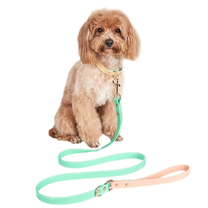 맞춤형 애완견 가죽 끈 PVC 마카롱 컬러 개 목걸이 및 가죽 끈 세트, 방수, 먼지 방지, 내구성, 조정 가능한 개 체인 - Product Image 2