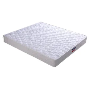 Factory Custom Coir Fiber Mattress Cheap Bunnell Spring Queen Mattress