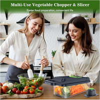 Coupe-légumes manuel multifonctionnel, râpe, hachoir avec lames en acier inoxydable ABS