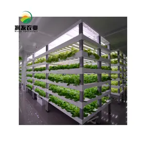 Hệ Thống Trồng Thủy Canh Aquaponic Tủ Trồng Túi Trồng Khoai Tây Tự Động Nuôi Trồng Theo Chiều Dọc