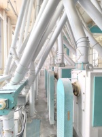 Nouvelle Ligne de Traitement des Céréales Électrique avec Moteur et Composants Essentiels du Moteur 380V Haute Capacité