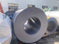 Tôle d'acier galvanisé à chaud, revêtement coloré, 0,6 mm, Z275, première qualité, bobine d'acier PPGI PPGL, neuve, provenant de Guangzhou
