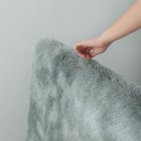 Tapis moelleux en peluche pour chambre à coucher, salon, table basse, coussin de sol pour toute la pièce, tapis de sol tendance pour filles