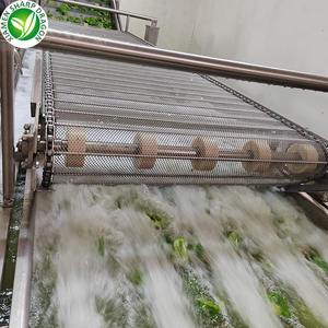 आपूर्तिकर्ता जैविक ग्रीनहाउस फल रंगीन इंद्रधनुष फ्रोजन मिर्च का निर्यात करता है हरी मिर्च, पीला हरा और लाल रंग - Product Image 6