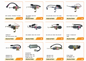 खुदाई डीजल ईंधन इंजन पार्ट्स ने सोलेनॉइड Rsv1751s 12v 24v 24v - Product Image 4