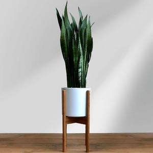 Planteur en <span class=keywords><strong>bois</strong></span> de bambou réglable pour l'intérieur et l'extérieur, <span class=keywords><strong>support</strong></span> de fleurs, plantes, 1 pièce - Product Image 3