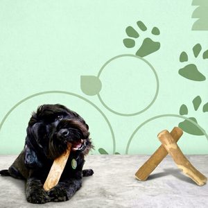 Juguete Masticable de Madera para Perros, Natural, Duradero, Ecológico, para Limpieza Dental, para Perros Medianos, Uso en Interiores, Estilo Simple, Sabor Original - Product Image 1