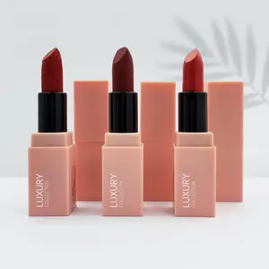 BBC flash lip stick beauty products for women lip serum cosmetics lip balm