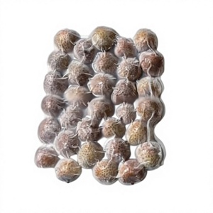 Lichi Entero Congelado IQF, Piezas de Fruta Natural Redondas, Envasado al Vacío - Product Image 1