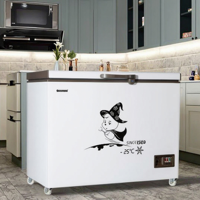Factory Wholesale Freezers Commercial Refrigerators Single Door Chest Freezers Convenience Stores and Home Small/Big Freezers