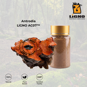ผงสกัดแอนโตรเดีย แคมฟอร์าต้า บริสุทธิ์ LiGNO AC07 รับผลิตแบบ OEM ODM ได้รับการรับรองฮาลาลและโคเชอร์ อาหารเพื่อสุขภาพ - Product Image 1