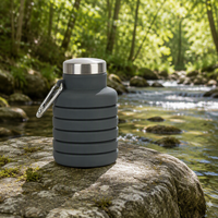 Bouteille d'eau sport pliable en silicone 500 ml avec bouchon à vis, sans BPA et réutilisable pour les voyages et le camping – Meilleure vente