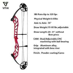 Arc à poulies de 36 pouces, réglable de 19 à 60 lbs, pour débutants, idéal pour l'entraînement en club d'archerie, modèle FH-FJ-002, force de tir réglable de 19 à 60 LBS - Product Image 2