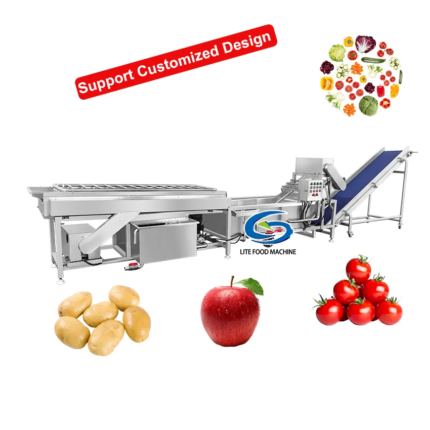 라이트 산업용 버블 애플 워시 과일 및 야채 건조 및 세탁기 라인