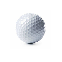 O Logotipo Da Impressão personalizada 2 peça Prática Bolas de Golfe