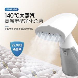 Handheld Garment Steamer T06 0.8L Below Electric Portable Steam Iron For Home Dormitory Use - Product Image 2