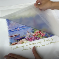 Impression directe sur des t-shirts avec du papier de transfert de chaleur DTF PET Film A4/A3 pour Textile Epson Inkjet DTG Printer Clothing Application