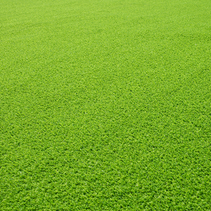 Alfombra de césped artificial, alfombra de campo de fútbol, estera de césped de plástico, césped de paisaje, hierba decorativa de cuatro colores - Product Image 4