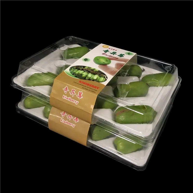 Personalizzazione 11/15/20 pezzi scatola di bacche di Kiwi contenitore di frutta trasparente per animali domestici monouso per uso alimentare con rivestimento in schiuma