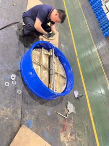 Dn1000 đúc sắt dễ uốn ggg40 đĩa cơ thể trong <span class=keywords><strong>al</strong></span>-<span class=keywords><strong>bronze</strong></span> c95400 Wafer van kiểm tra tấm kép - Product Image 4