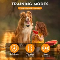 Hunde-Trainingshalsband 800M mit Fernbedienung, Innovatives IP67 Wasserdichtes Erziehungshalsband mit 4 Trainingsmodi für Alle Rassen