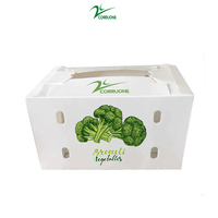 Caja de Plástico Corrugado para Frutas y Verduras, Espárragos, Uvas, Okra, Maíz
