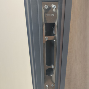 Porte de sécurité en acier, intérieure, à commande manuelle, insonorisée, résidentielle, contemporaine, surface finie - Product Image 1
