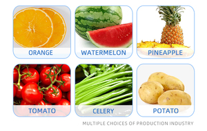 Exprimidor de Frutas Eléctrico Profesional de Acero Inoxidable 304, Exprimidor de Uvas, Manzanas, Peras y Naranjas - Product Image 4
