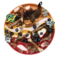 Mangeoire lente en silicone écologique 2 en 1 tapis à lécher pour chien bol Mars bols de nourriture pour animaux de compagnie bol pour chien mangeoire lente