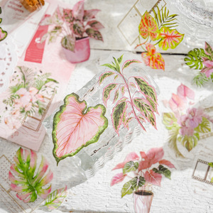 Série <span class=keywords><strong>Atelier</strong></span> Plantes Vertes : Carnet d'Accompagnement aux Plantes en Aquarelle, Pack d'Autocollants Décoratifs DIY, Décoration Série <span class=keywords><strong>Atelier</strong></span> Plantes Vertes - Product Image 1