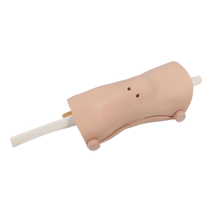 Modello Anatomico per Artroscopia del Ginocchio per Formazione in Scienze Mediche - Product Image 2