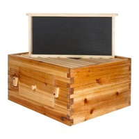 Nueva Caja de Colmena Langstroth Profunda de Observación Automática, 10 Cuadros, Construcción de Madera con Ventana de Cera de Abeja 100% Natural