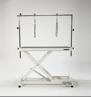 Mesa de Peluquería Canina Eléctrica de Perfil Bajo, de Acero Inoxidable, Segura y Fácil de Usar, con Motor Silencioso e Impermeable, YM-D001