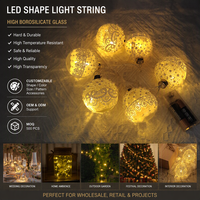Lampu LED Bentuk Kustom Catena Luminosa Bola Kaca Borosilikat Grid Dekorasi Rumah Pesta Pemasok ODM Set Hadiah Grosir