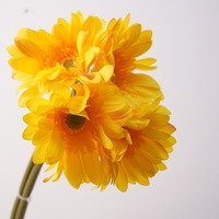 Vente en gros de fleurs artificielles en soie, bouquet de marguerites gerbera à 4 branches, marque MTY, aspect naturel, effet hydratant pour les mains
