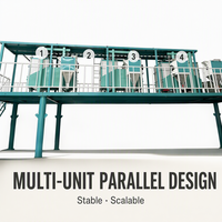 Machine de tamisage de céréales personnalisable pour le classement de la farine de blé, de maïs et de millet multi-céréales