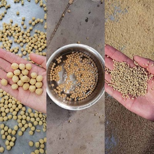 Molino Mezclador y Secador de Alimentos para Peces, Máquina de Procesamiento de Alimentos para Mascotas de Gran Capacidad, Línea de Producción de <span class=keywords><strong>Pellets</strong></span> Flotantes para Peces - Product Image 3