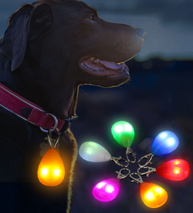 Waterproof LED Dog Collar Light Night Safety Pet Pendant Glowing Pet <b>Tag</b> with Clip for Dogs <b>Cats</b> Outdoor Walking Warning - Product Image 2