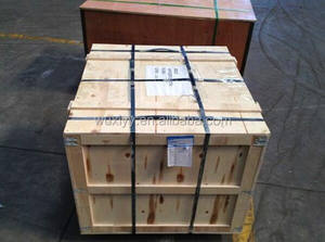 Modelo de <span class=keywords><strong>esqueleto</strong></span> canino para perro, enseñanza de biología humana - Product Image 2