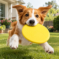 Disque volant interactif moderne pour chien en TPR, résistant aux morsures, pour le nettoyage dentaire, écologique, vente en gros personnalisée