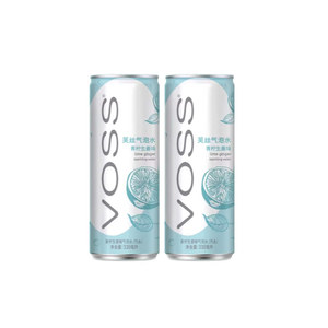 <span class=keywords><strong>Eau</strong></span> gazeuse au goût de citron vert et de gingembre - Product Image 1