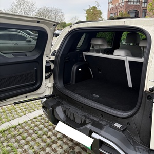 Auto Usado Leopard Titanium 3 Eléctrico SUV AWD Ultra 2025 501km Blanco Pintura Original - Product Image 6