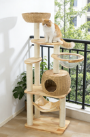 Arbre à chat multifonction classique en bois et lin, grand condo pour chat avec échelle, lit pour chat, design Halloween