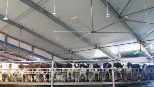 Ventilateur de plafond commercial HVLS de 16 pieds pour grands espaces – Refroidissement à haut volume et basse vitesse pour églises, entrepôts, gymnases |   Ventilateur à économie d'énergie de grande taille - Product Image 5