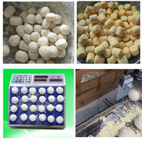 Boules de pâte de football réglables 10-150g Rounder faisant la machine de boule de pâte ronde de pizza d'équipement