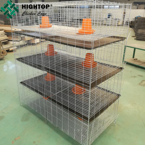 Cage pour poulet 1 jour, vente en gros, économique, pour bébés - Product Image 6