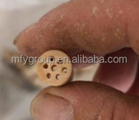 Embouts de filtre à cigarettes en bois, accessoire de fumage personnalisé, rond, pré-percé à 7 trous, embout buccal en bois de 8,5, 9,6, 11, 15 mm, porte-cigarette roulé