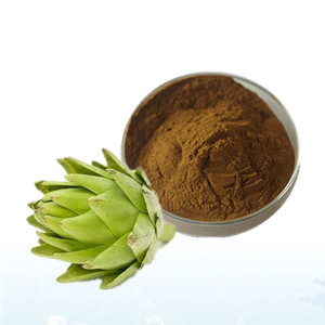뜨거운 판매 식물 추출물 10:1 아티 초크 추출물 분말 Cynara Scolymus 추출물 신뢰할 수있는 품질 - Product Image 2