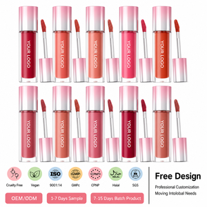Brillo Labial Estándar de Exportación, Marca Privada, OEM, ODM, <span class=keywords><strong>Precio</strong></span> de Fábrica, Maquillaje Profesional al por Mayor, Producción de Marca, Set de Laboratorio - Product Image 1